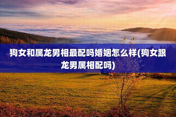 狗女和属龙男相最配吗婚姻怎么样(狗女跟龙男属相配吗)