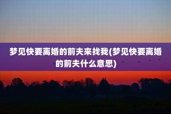 梦见快要离婚的前夫来找我(梦见快要离婚的前夫什么意思)