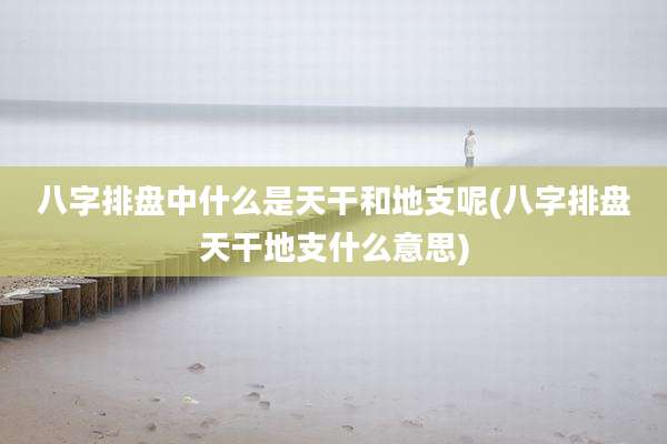 八字排盘中什么是天干和地支呢(八字排盘天干地支什么意思)