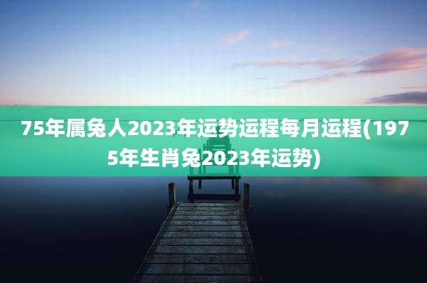75年属兔人2023年运势运程每月运程(1975年生肖兔2023年运势)