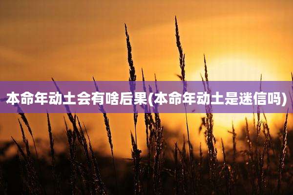 本命年动土会有啥后果(本命年动土是迷信吗)
