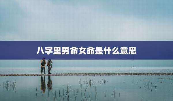 八字里男命女命是什么意思