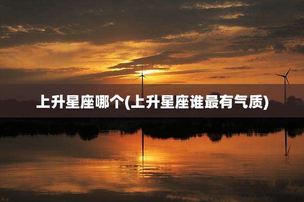 上升星座哪个(上升星座谁最有气质)