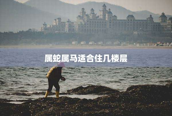 属蛇属马适合住几楼层