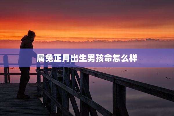 属兔正月出生男孩命怎么样