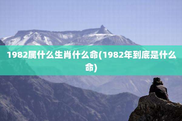 1982属什么生肖什么命(1982年到底是什么命)