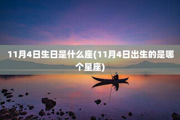 11月4日生日是什么座(11月4日出生的是哪个星座)