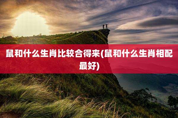 鼠和什么生肖比较合得来(鼠和什么生肖相配最好)