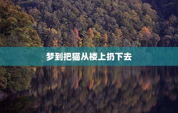 梦到把猫从楼上扔下去