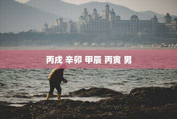 丙戌 辛卯 甲辰 丙寅 男