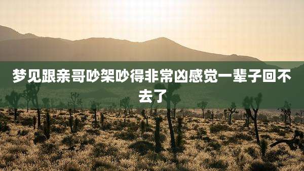 梦见跟亲哥吵架吵得非常凶感觉一辈子回不去了