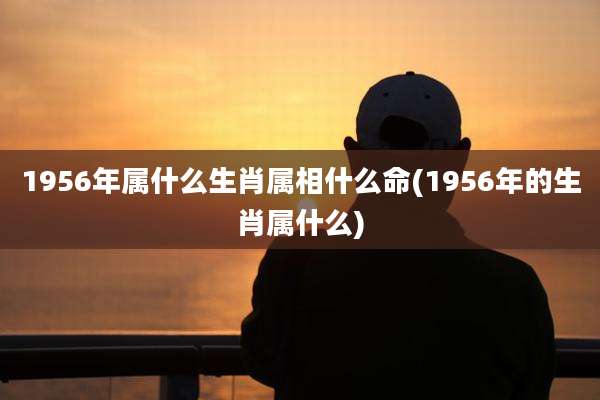 1956年属什么生肖属相什么命(1956年的生肖属什么)