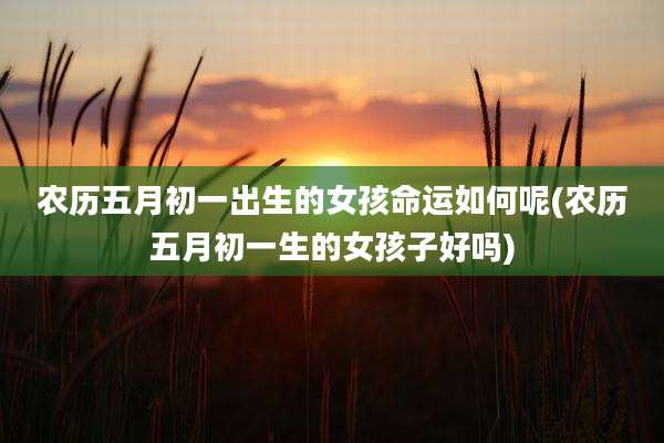 农历五月初一出生的女孩命运如何呢(农历五月初一生的女孩子好吗)