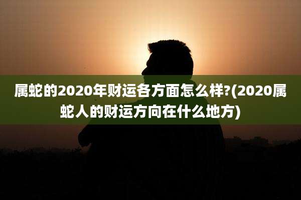 属蛇的2020年财运各方面怎么样?(2020属蛇人的财运方向在什么地方)