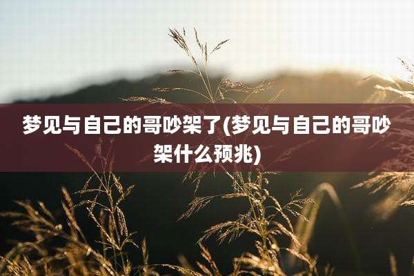 梦见与自己的哥吵架了(梦见与自己的哥吵架什么预兆)