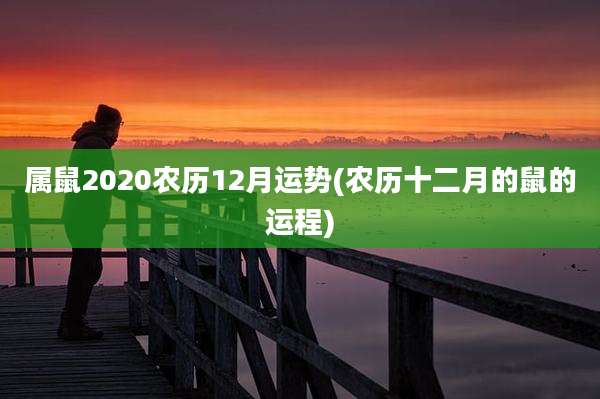 属鼠2020农历12月运势(农历十二月的鼠的运程)