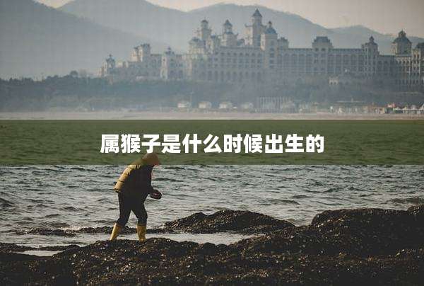 属猴子是什么时候出生的