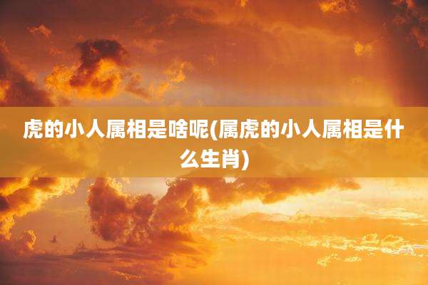 虎的小人属相是啥呢(属虎的小人属相是什么生肖)