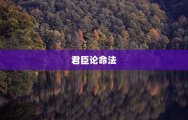 君臣论命法