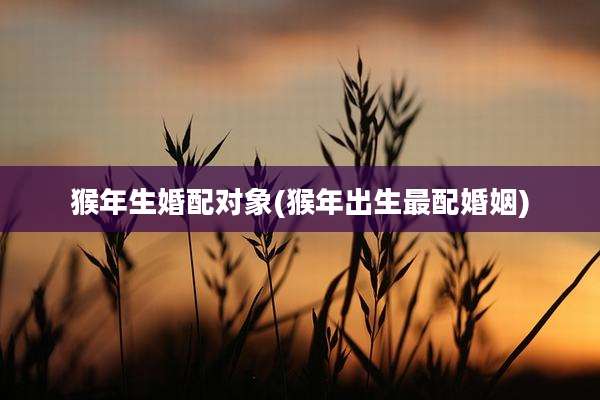 猴年生婚配对象(猴年出生最配婚姻)