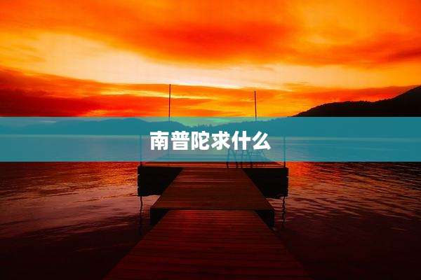 南普陀求什么