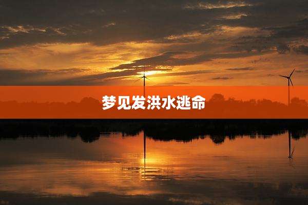 梦见发洪水逃命