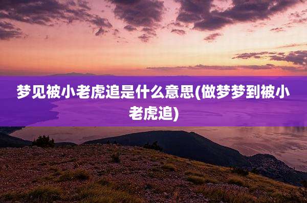 梦见被小老虎追是什么意思(做梦梦到被小老虎追)