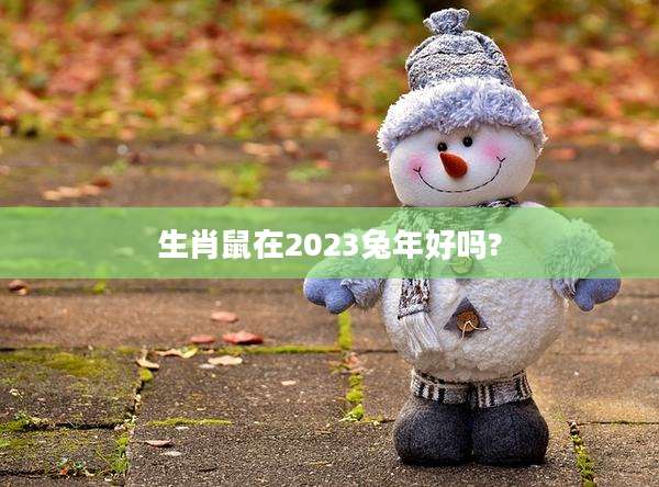 生肖鼠在2023兔年好吗?