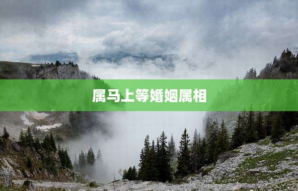属马上等婚姻属相