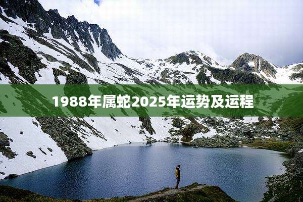 1988年属蛇2025年运势及运程