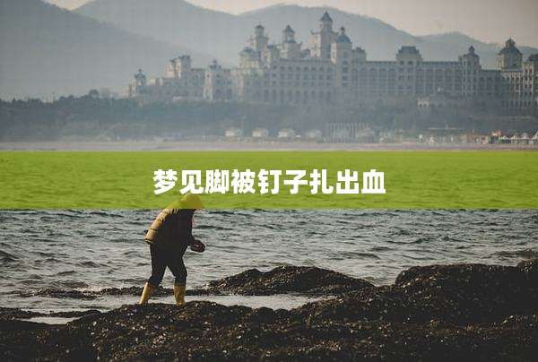 梦见脚被钉子扎出血