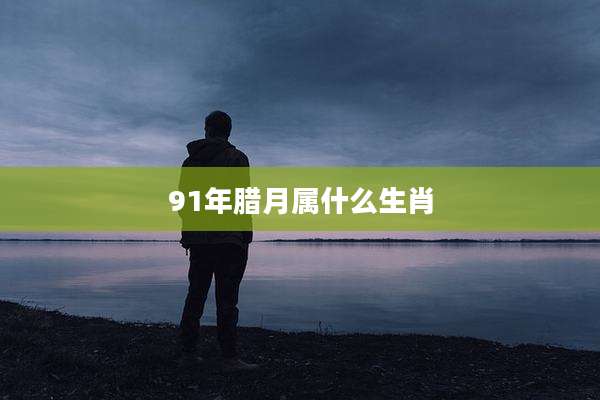 91年腊月属什么生肖