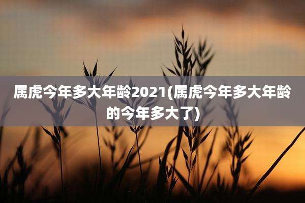 属虎今年多大年龄2021(属虎今年多大年龄的今年多大了)
