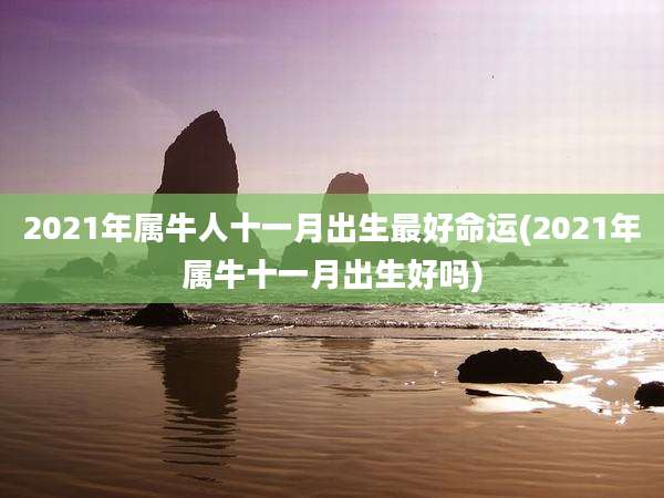 2021年属牛人十一月出生最好命运(2021年属牛十一月出生好吗)