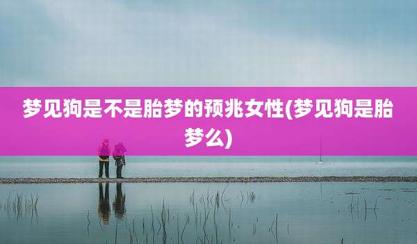 梦见狗是不是胎梦的预兆女性(梦见狗是胎梦么)