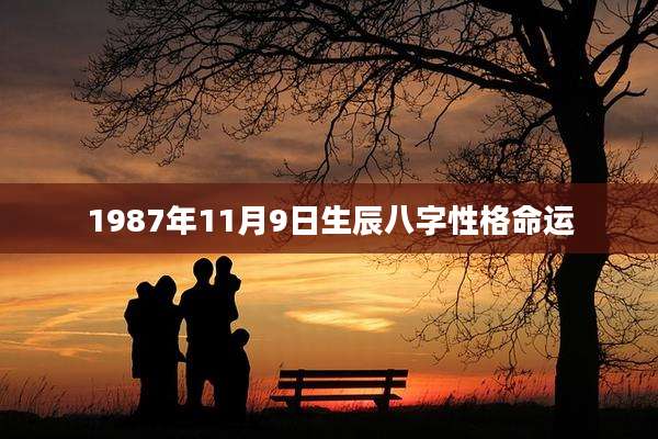 1987年11月9日生辰八字性格命运