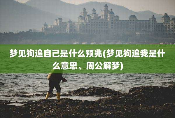 梦见狗追自己是什么预兆(梦见狗追我是什么意思、周公解梦)