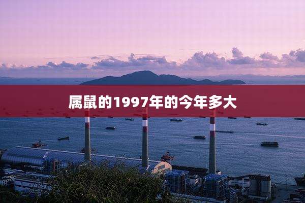属鼠的1997年的今年多大