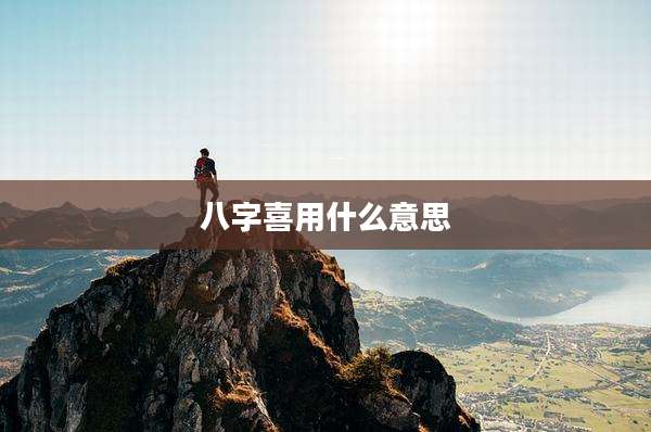 八字喜用什么意思