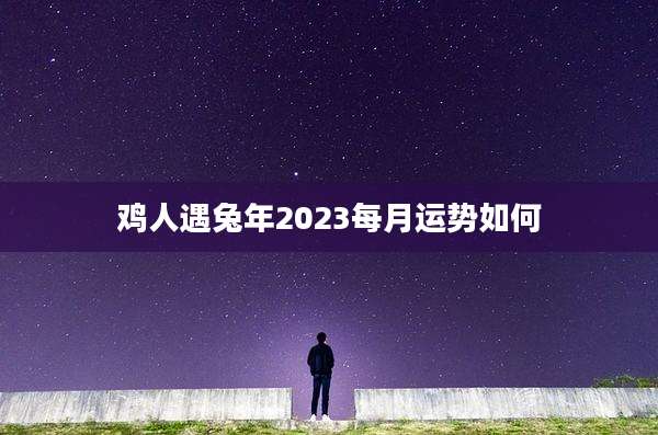 鸡人遇兔年2023每月运势如何