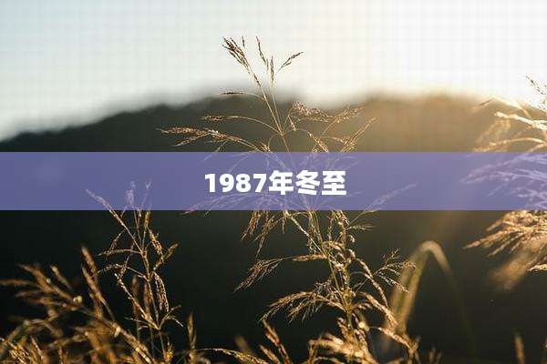 1987年冬至