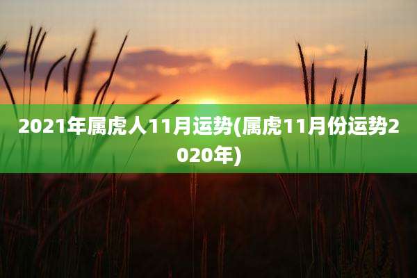 2021年属虎人11月运势(属虎11月份运势2020年)