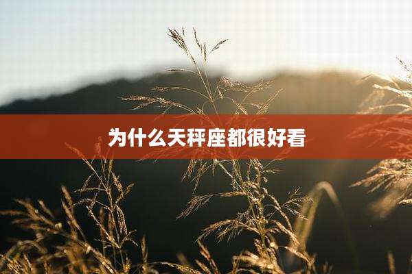 为什么天秤座都很好看
