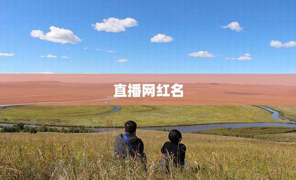 直播网红名