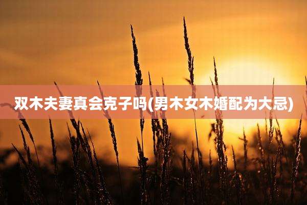 双木夫妻真会克子吗(男木女木婚配为大忌)