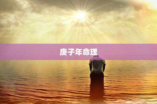 庚子年命理