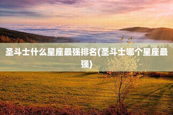 圣斗士什么星座最强排名(圣斗士哪个星座最强)