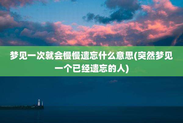 梦见一次就会慢慢遗忘什么意思(突然梦见一个已经遗忘的人)