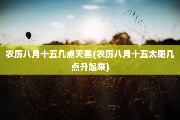 农历八月十五几点天黑(农历八月十五太阳几点升起来)