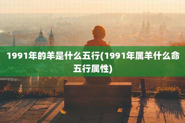 1991年的羊是什么五行(1991年属羊什么命五行属性)